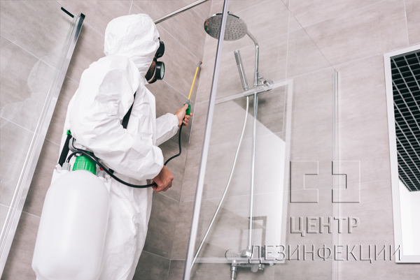 Санитарная обработка от тараканов в квартире  в Солнечногорске